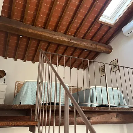 Podere Cedrola - La Terrazza Asciano